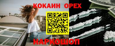 крисы Будённовск