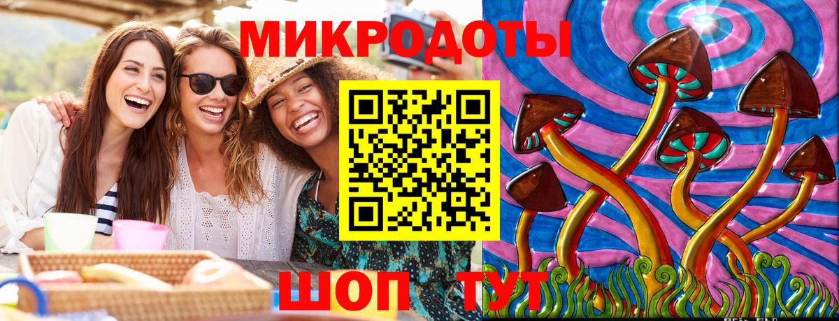 Галлюциногенные грибы Psilocybine cubensis Северск